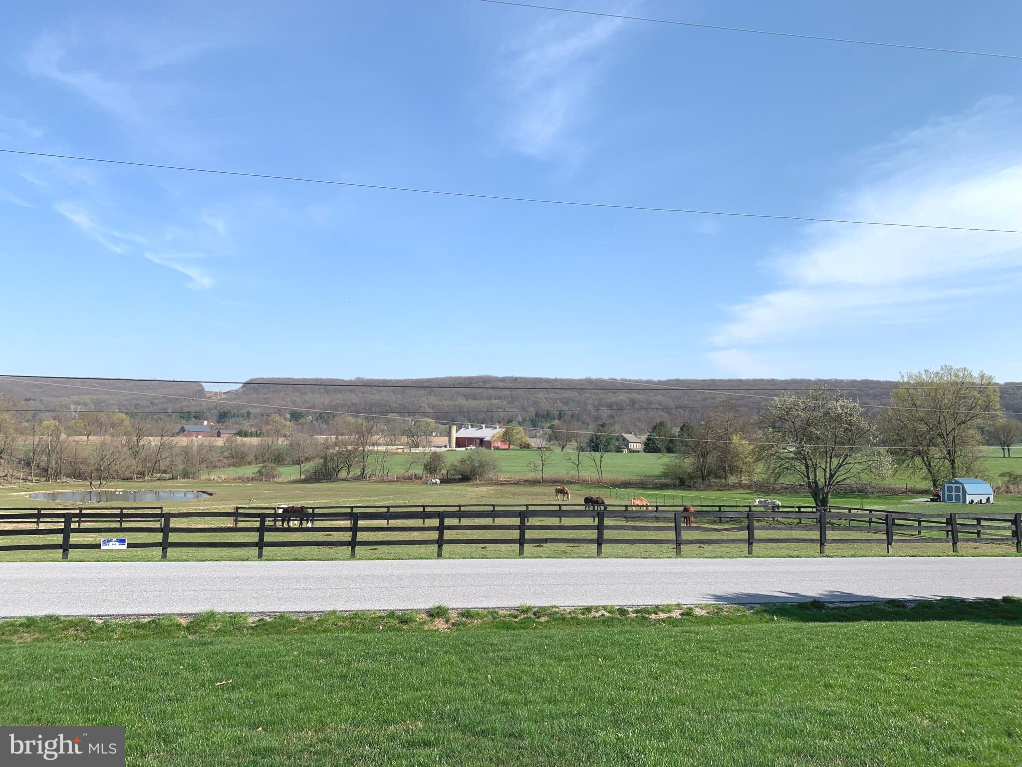 3631 Trout Run Road York, PA 17406 - Photo 22 of 25 View from Front of Home