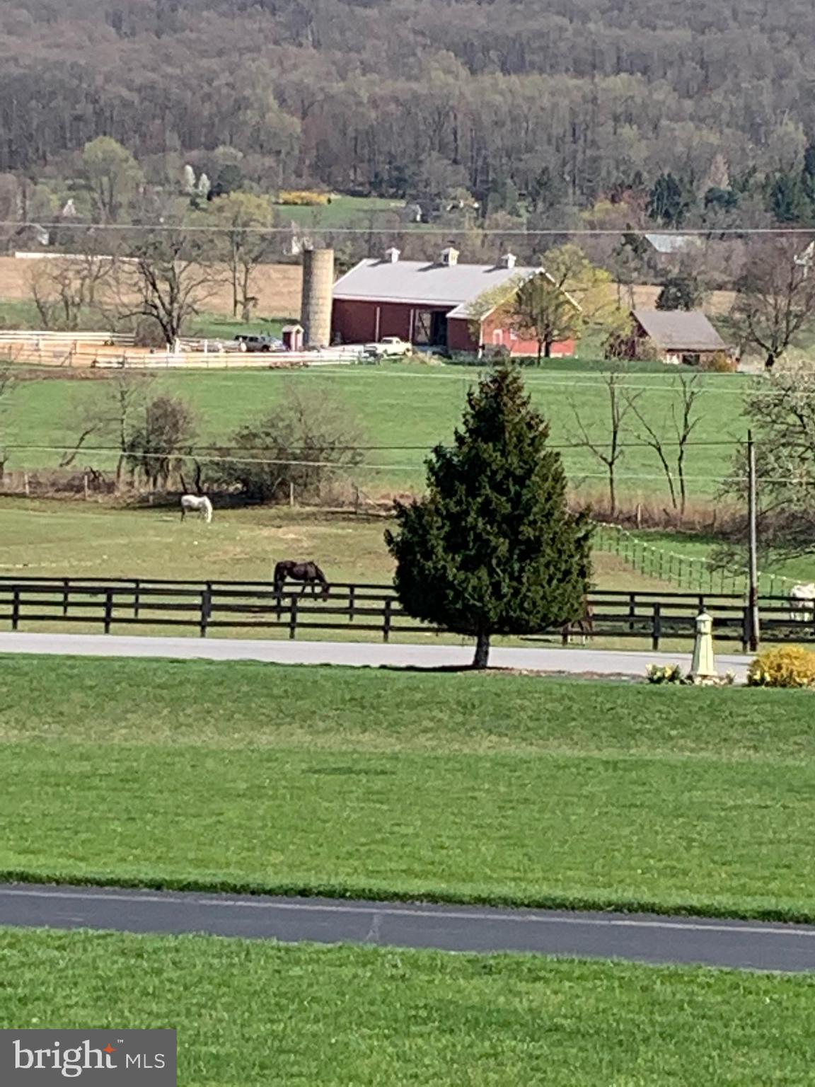3631 Trout Run Road York, PA 17406 - Photo 23 of 25 Horse Country