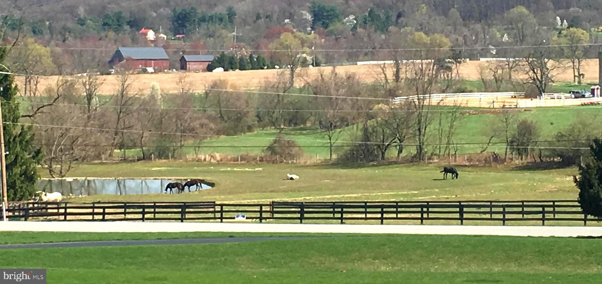 3631 Trout Run Road York, PA 17406 - Photo 24 of 25 Magnificent view