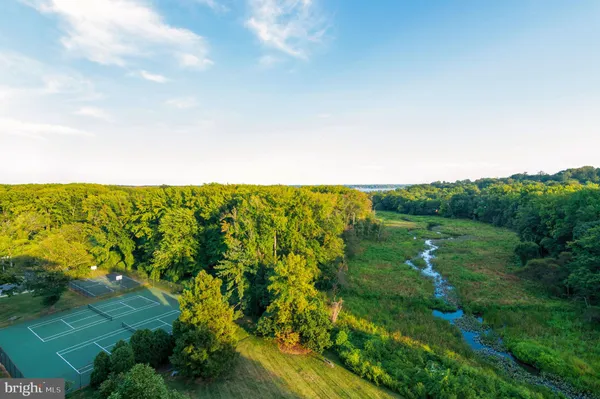 a view of a green field with lots of bushes