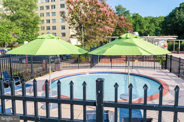 a white and covered with tall trees