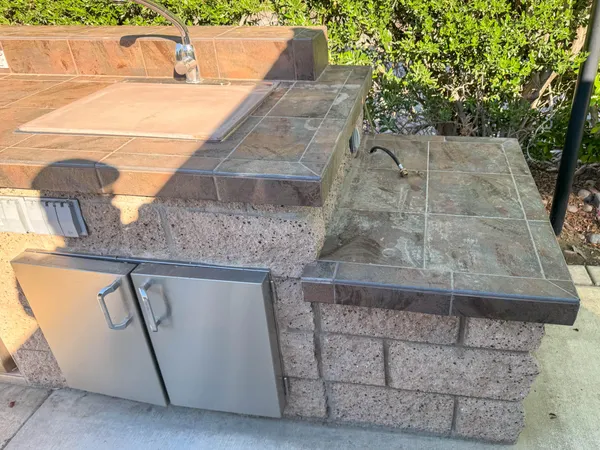 a view of a plants in backyard of the house