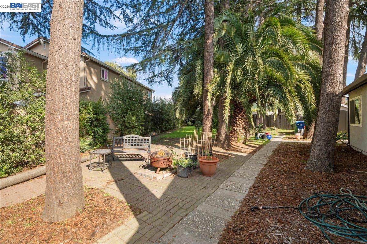 298 Edwin Way Hayward, CA 94544 - Photo 22 of 24 a view of a patio with table and chairs potted plants and large tree