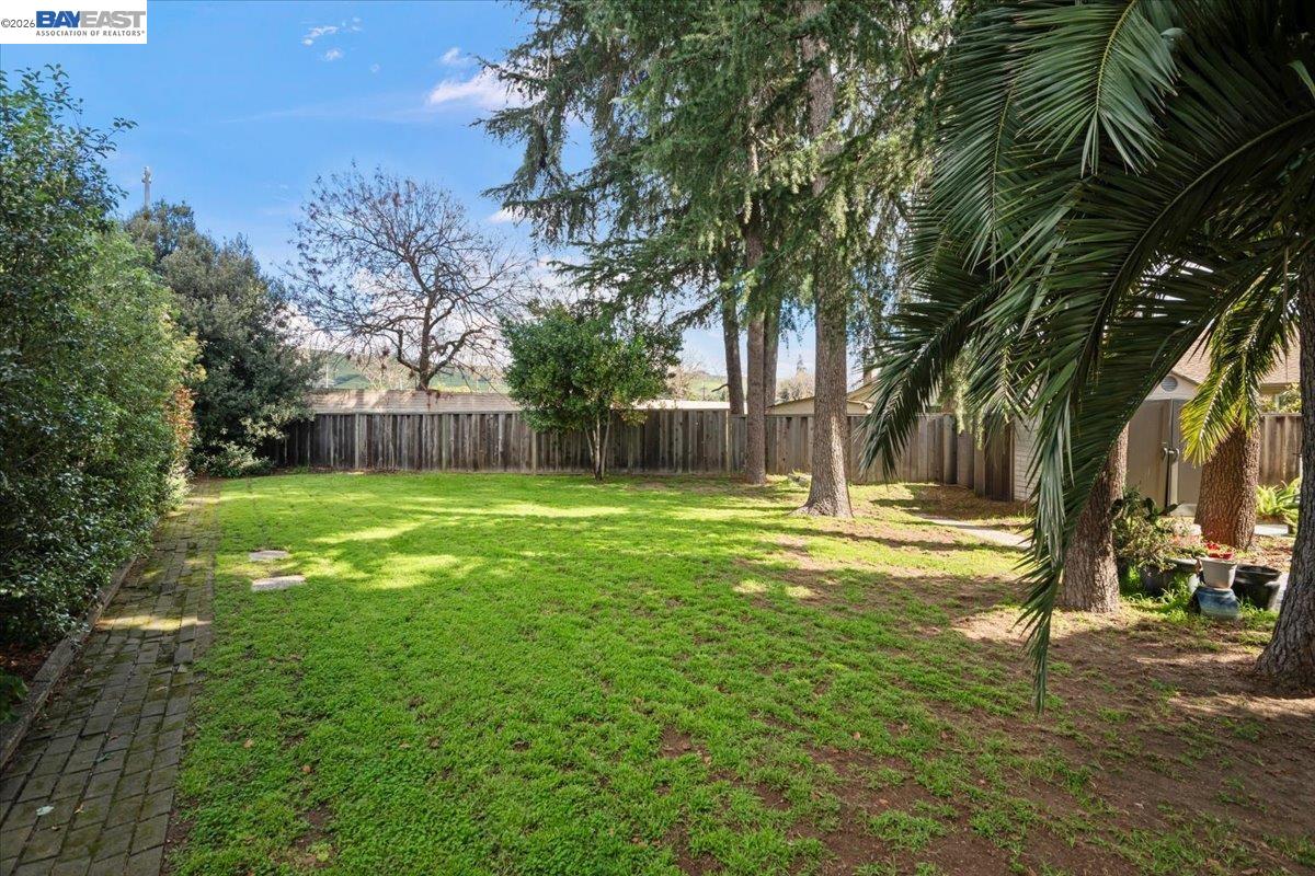 298 Edwin Way Hayward, CA 94544 - Photo 6 of 24 a view of a park with large trees