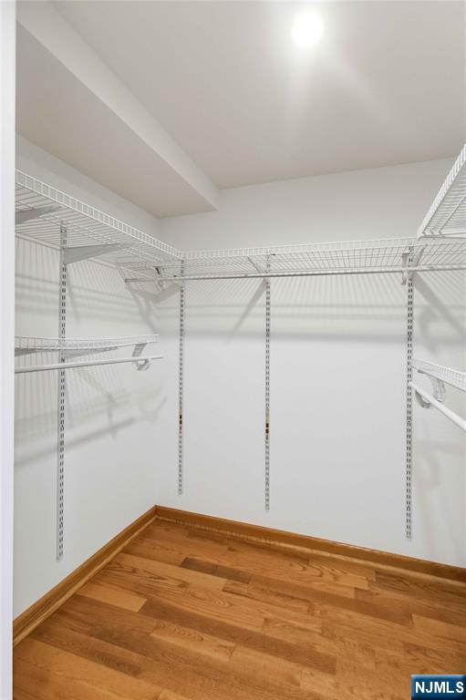 131 Haase Avenue Paramus, NJ 07652 - Photo 43 of 50