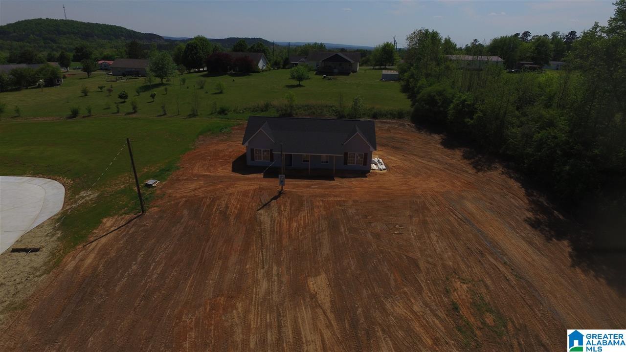 183 Fowler Springs Road Blountsville, AL 35031 - Photo 2 of 7