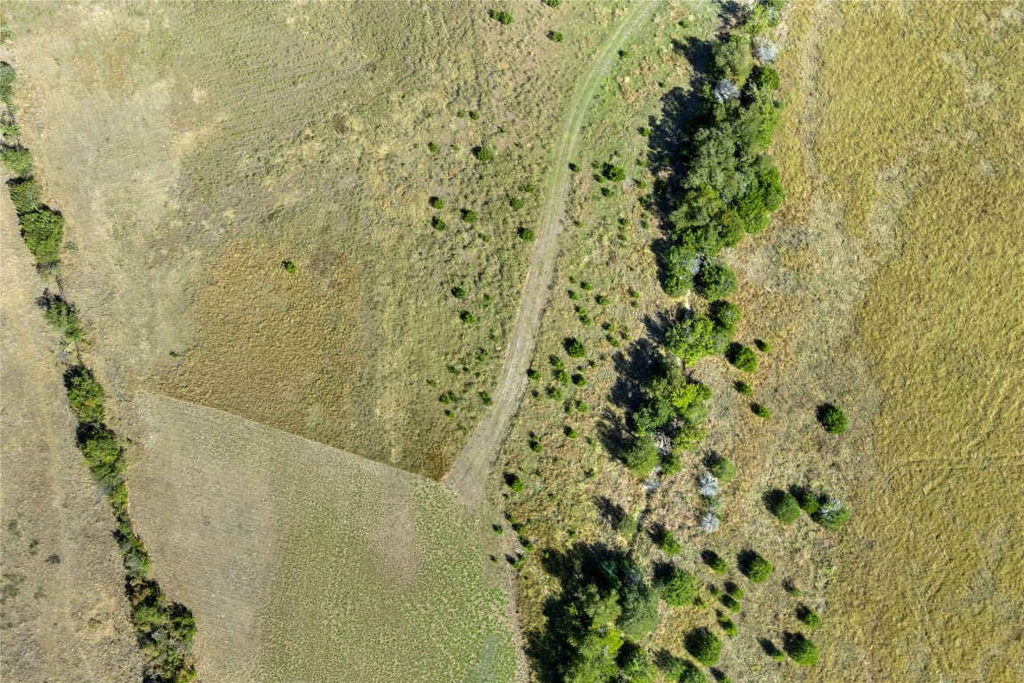 301 County Road 246 Georgetown, TX 78633 - Photo 9 of 15 a bathroom with a shower curtain