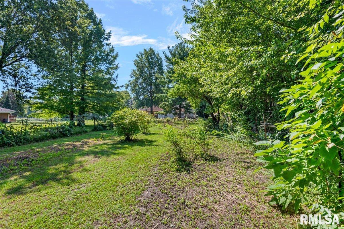 2619 East Keys Avenue Springfield, IL 62702 - Photo 41 of 43 Gallery Image 41