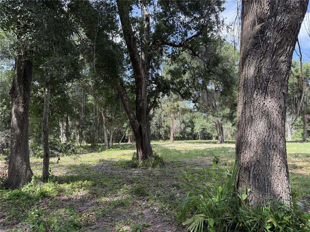 620 Cochran Road Geneva, FL 32732 - Photo 3 of 11