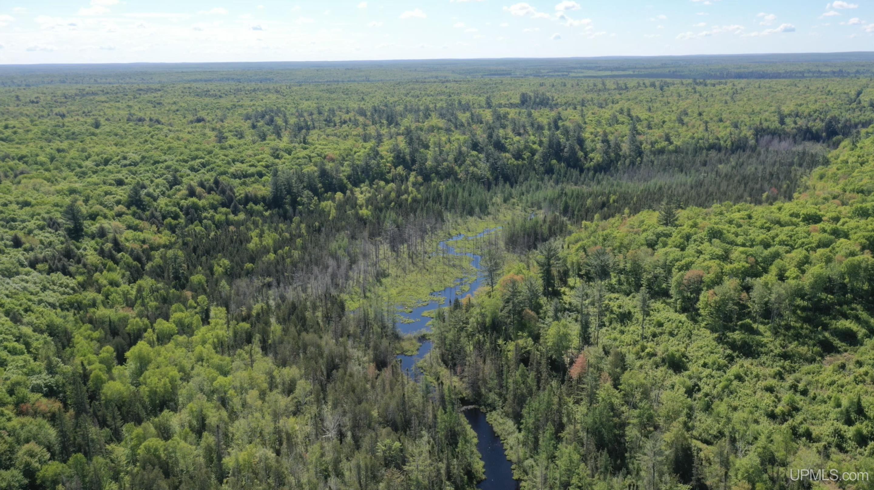 527 Usfs Road Iron River, MI 49935 - Photo 6 of 37