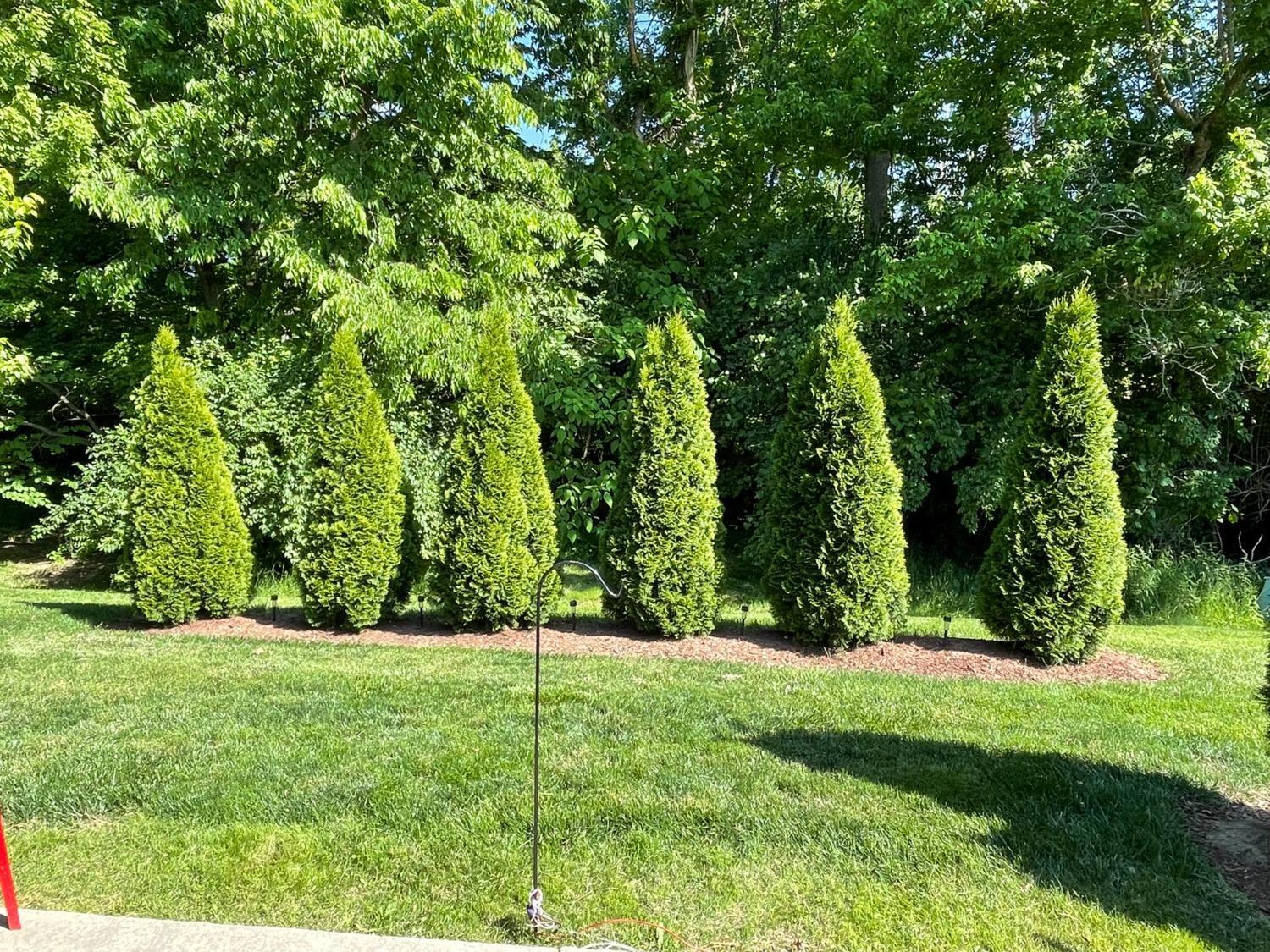 33 Shaker Run Road Lebanon, OH 45036 - Photo 26 of 26
