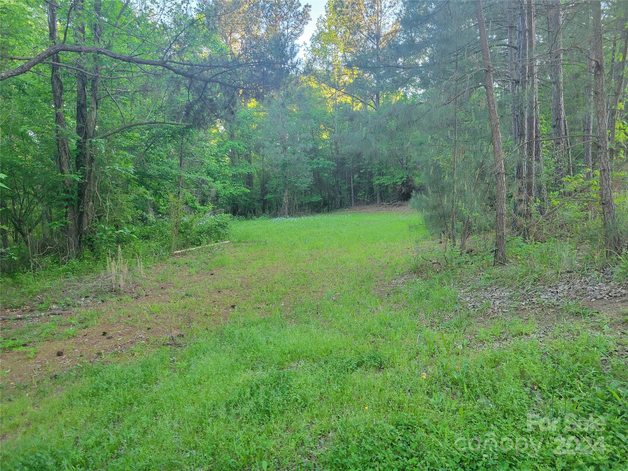 830 Long Branch Road Grover, NC 28073 - Photo 28 of 37 a view of a big yard with large trees