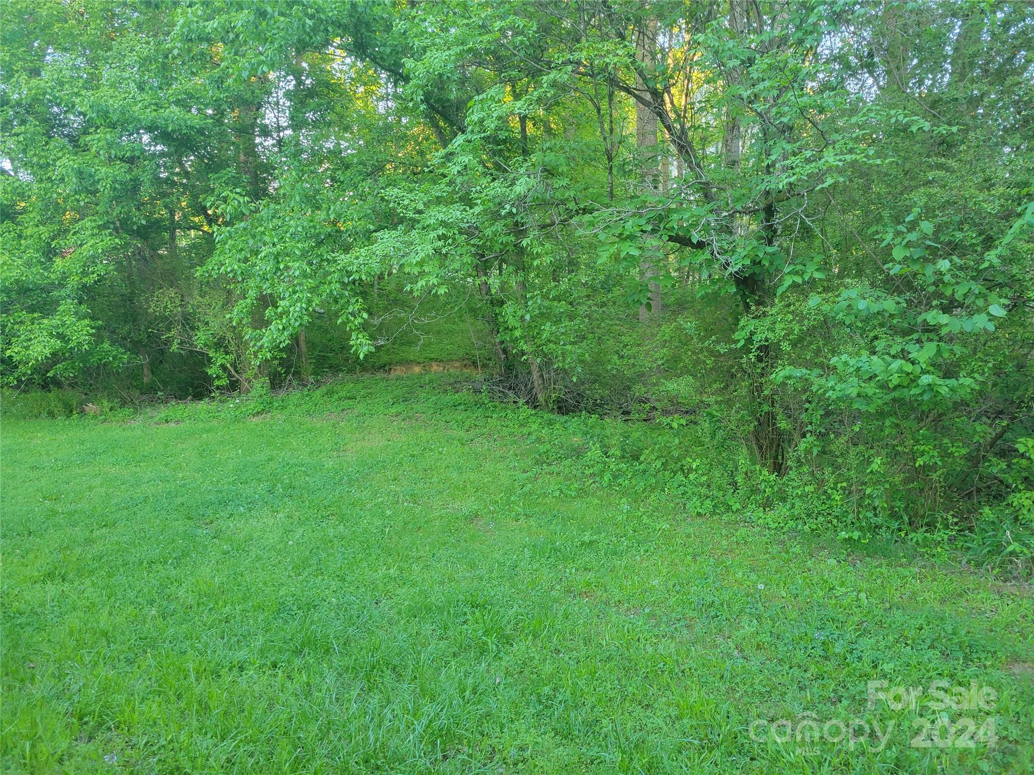 830 Long Branch Road Grover, NC 28073 - Photo 29 of 37 a view of a lush green space