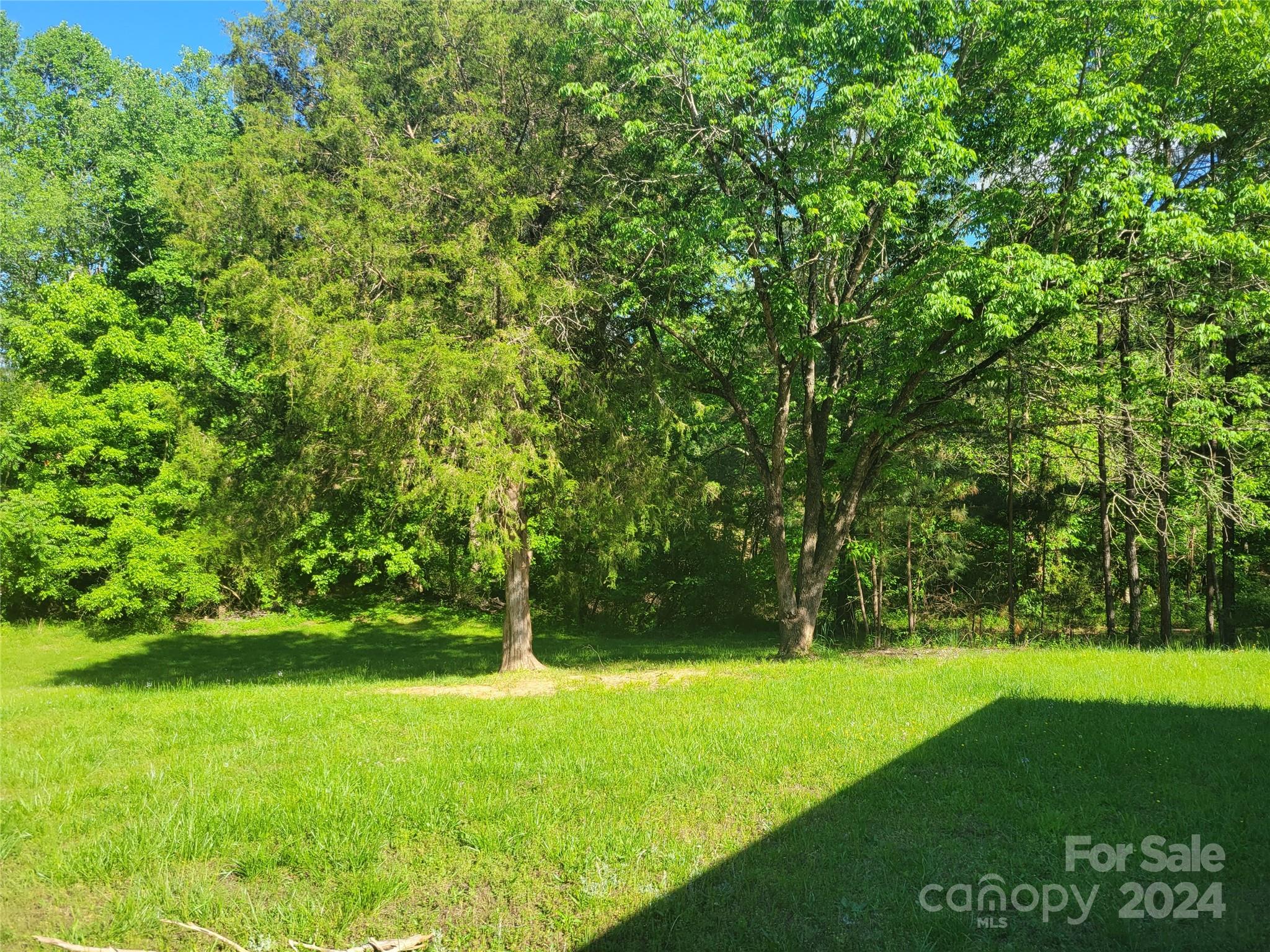 830 Long Branch Road Grover, NC 28073 - Photo 31 of 37 a view of yard with grass and trees