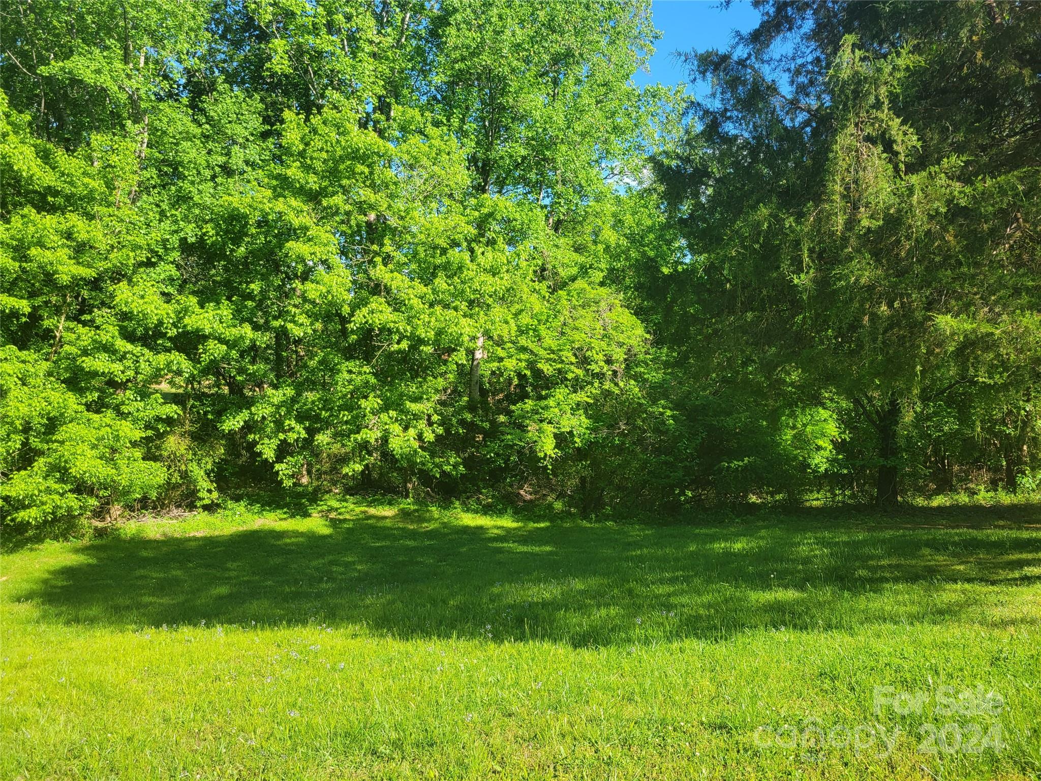 830 Long Branch Road Grover, NC 28073 - Photo 32 of 37 a view of yard with green space