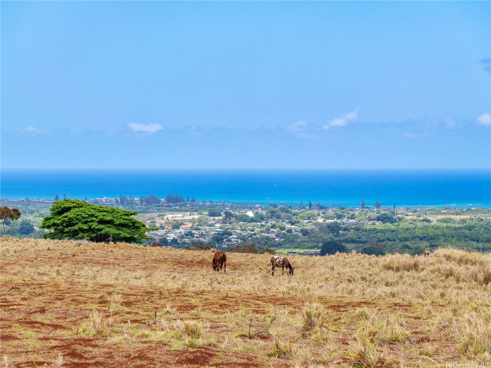 65-283 Kaukonahua Road, Unit 29 Wahiawa, HI 96786 - Photo 12 of 25 a view of ocean view