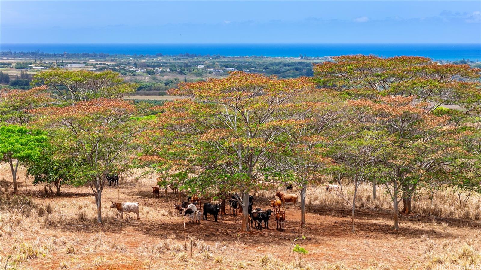 65-283 Kaukonahua Road, Unit 29 Wahiawa, HI 96786 - Photo 17 of 25 a view of outdoor space and city view