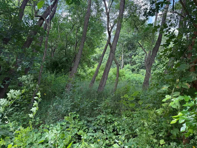 $20,000 | L1095 Hunt Club, La Valle, WI 53941