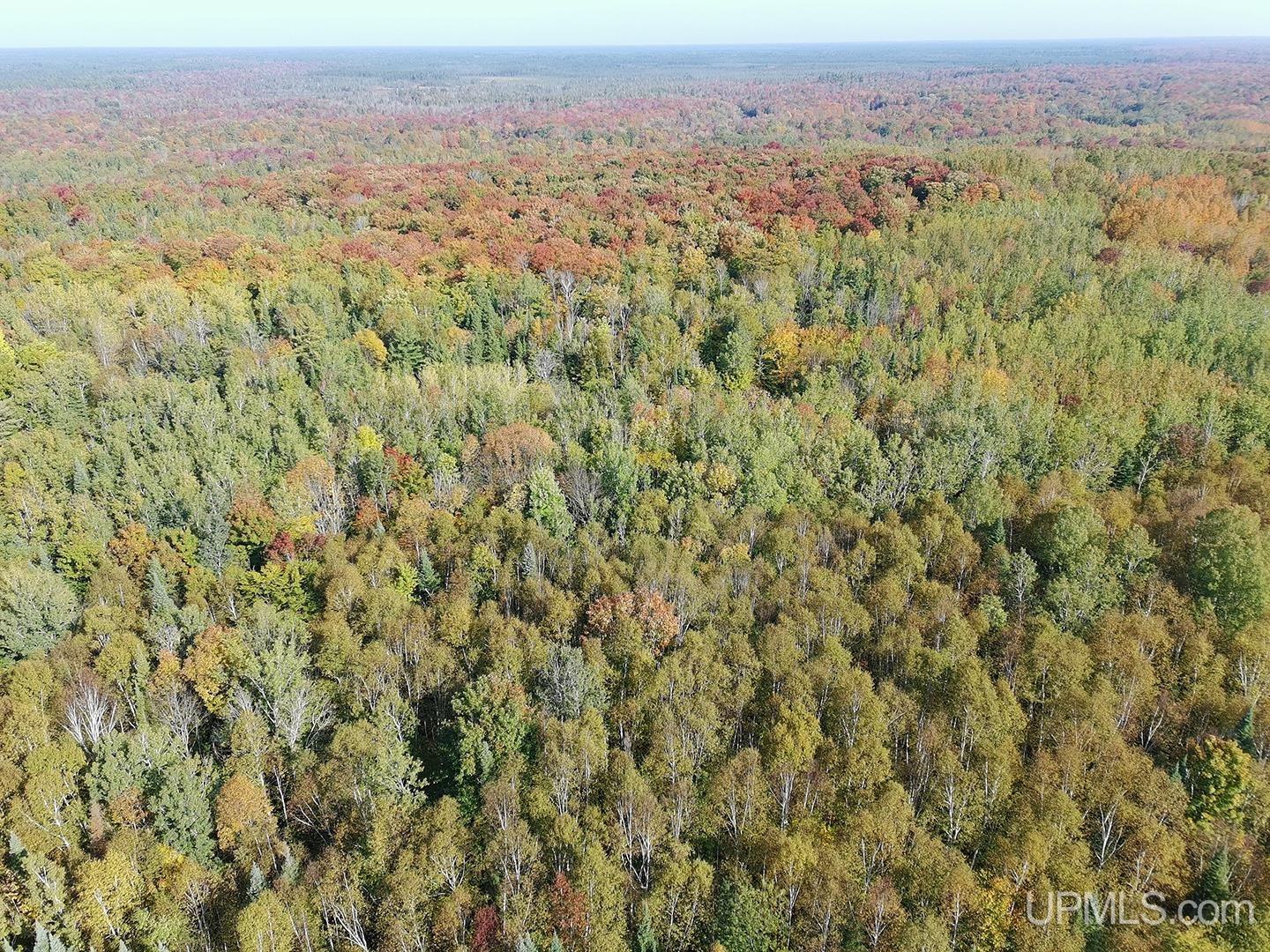 40-acres County Pit Road, Unit PARCEL #2 Manistique, MI 49854 - Photo 48 of 51 Gallery Image 48