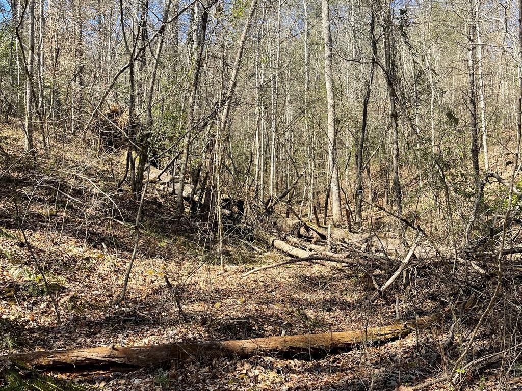 0 Childers Creek Road Reliance, TN 37369 - Photo 1 of 12 a backyard of a house