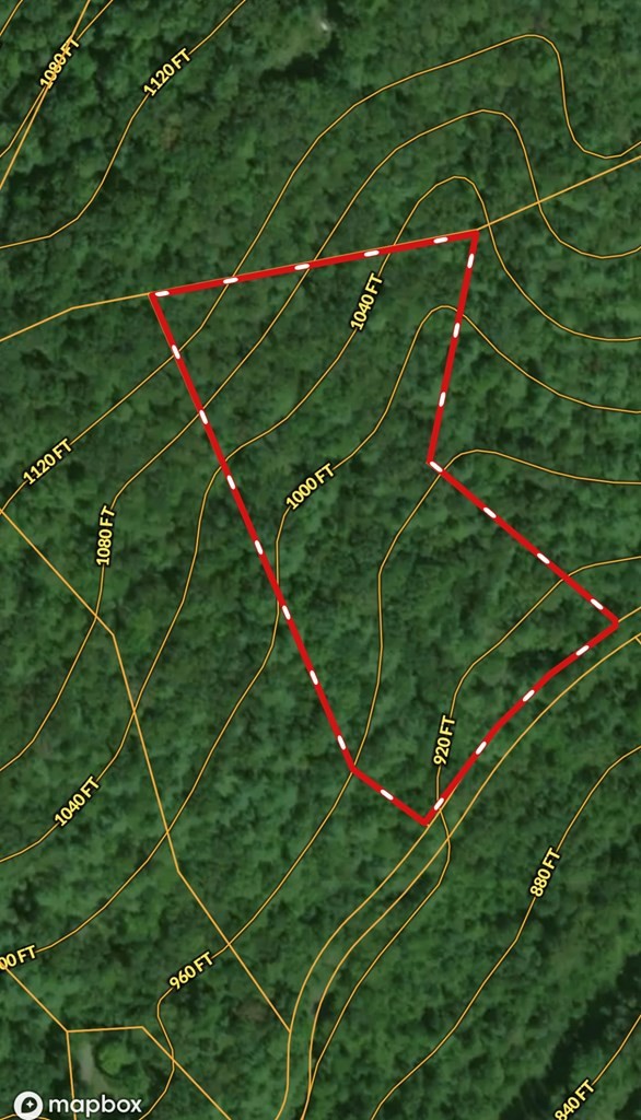 0 Childers Creek Road Reliance, TN 37369 - Photo 10 of 12 a green field with lots of trees and flowers in it