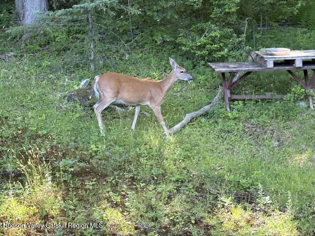 12 Mountain Valley Road Boiceville, NY 12412 - Photo 4 of 10 image7