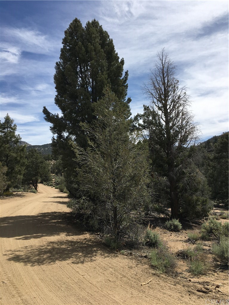 0 Up The Hill Road Inyokern, CA 93527 - Photo 2 of 8 Gallery Image 2