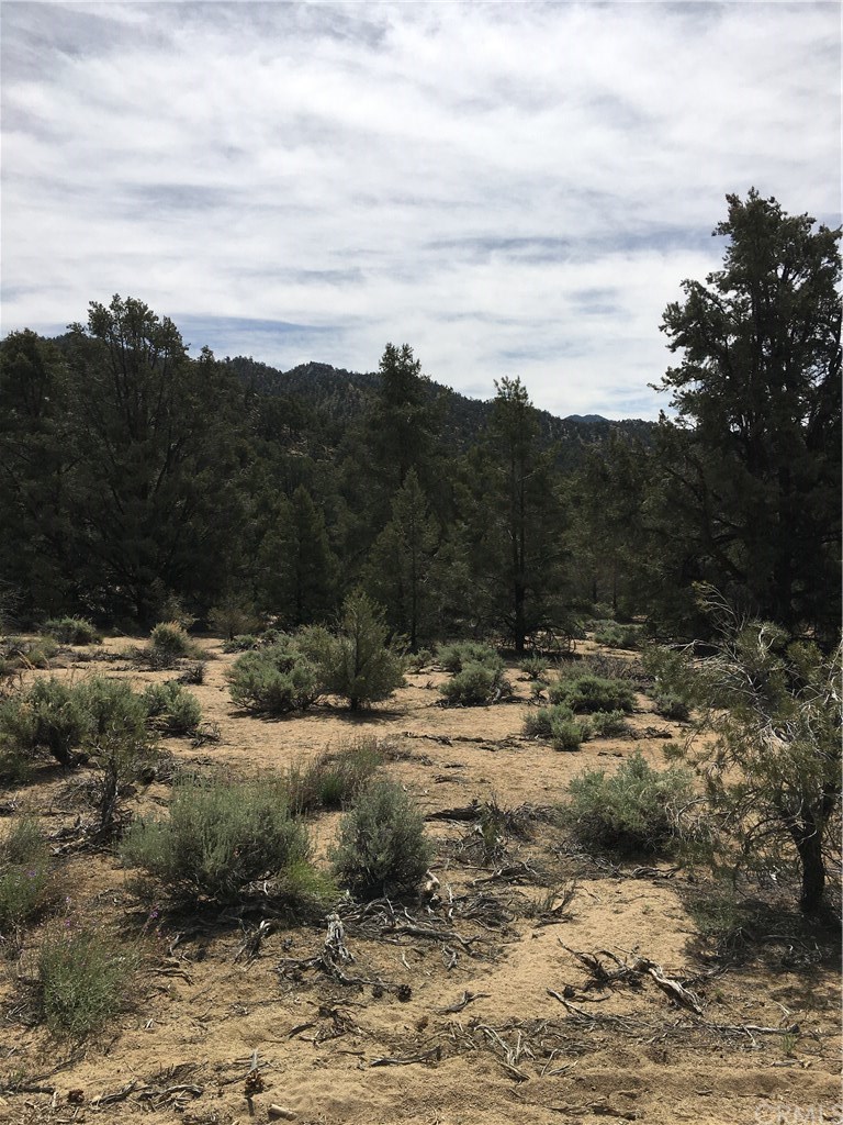 0 Up The Hill Road Inyokern, CA 93527 - Photo 3 of 8 Gallery Image 3