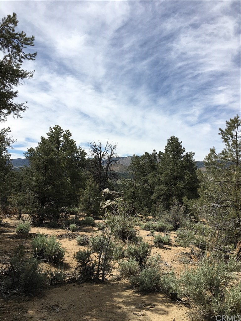 0 Up The Hill Road Inyokern, CA 93527 - Photo 4 of 8 Gallery Image 4