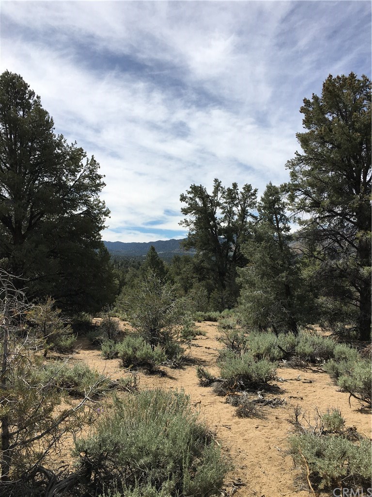 0 Up The Hill Road Inyokern, CA 93527 - Photo 5 of 8 Gallery Image 5