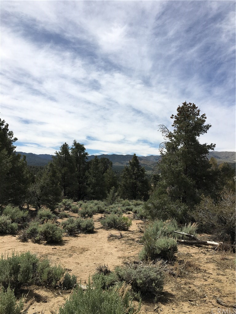0 Up The Hill Road Inyokern, CA 93527 - Photo 6 of 8 Gallery Image 6