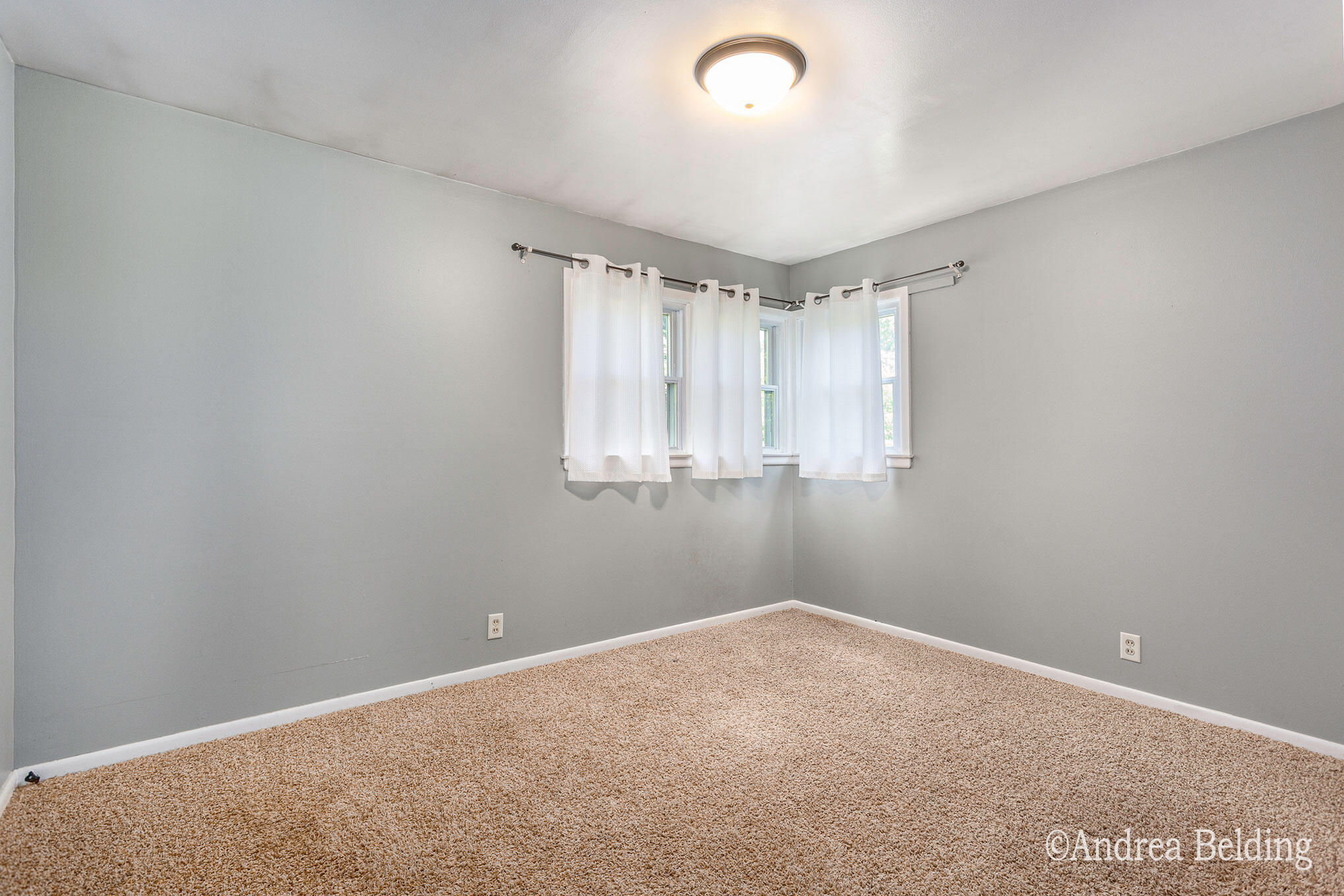 709 Harrison Street Belding, MI 48809 - Photo 11 of 24 Main