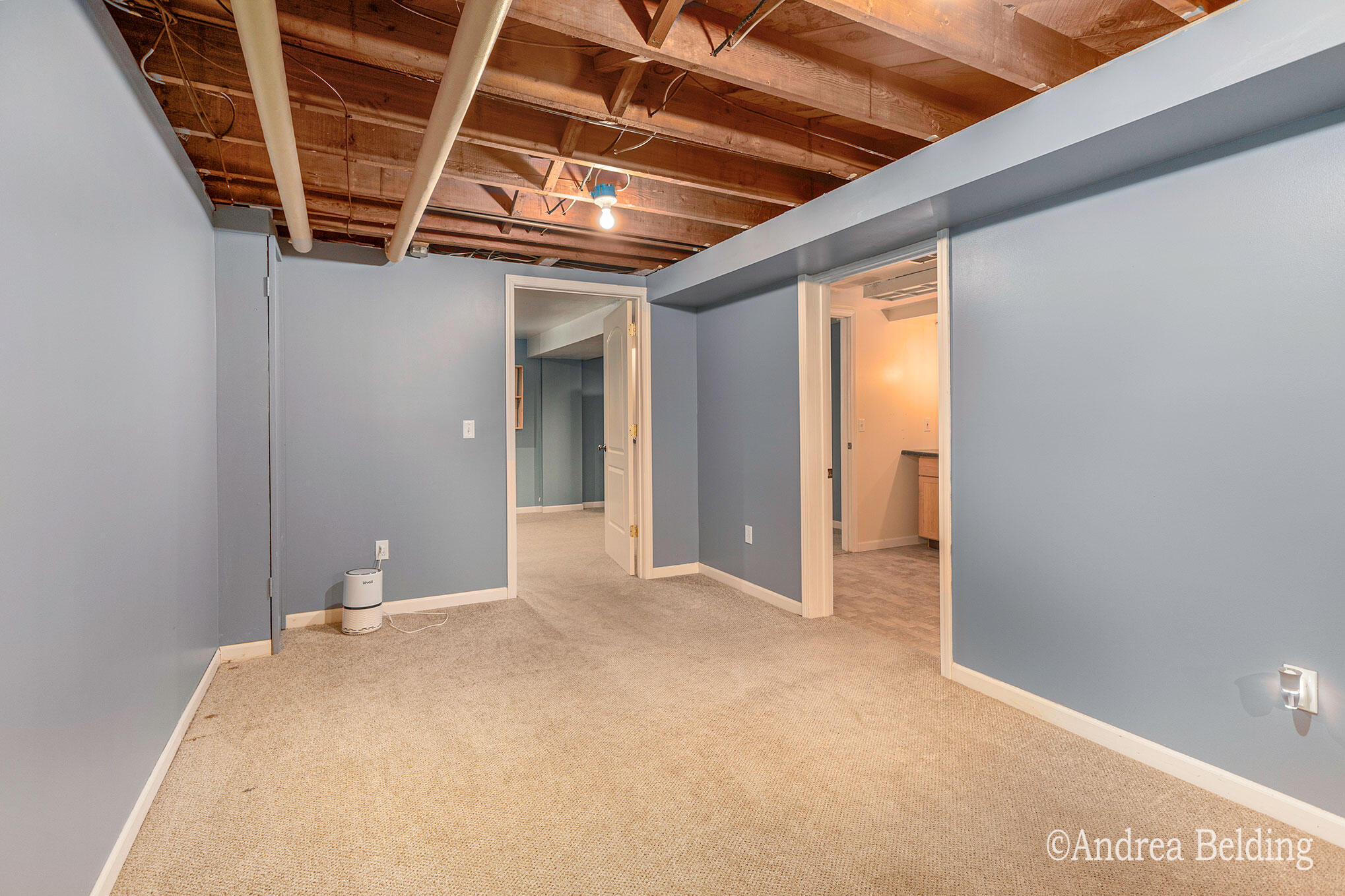 709 Harrison Street Belding, MI 48809 - Photo 18 of 24 Downstairs Family Room