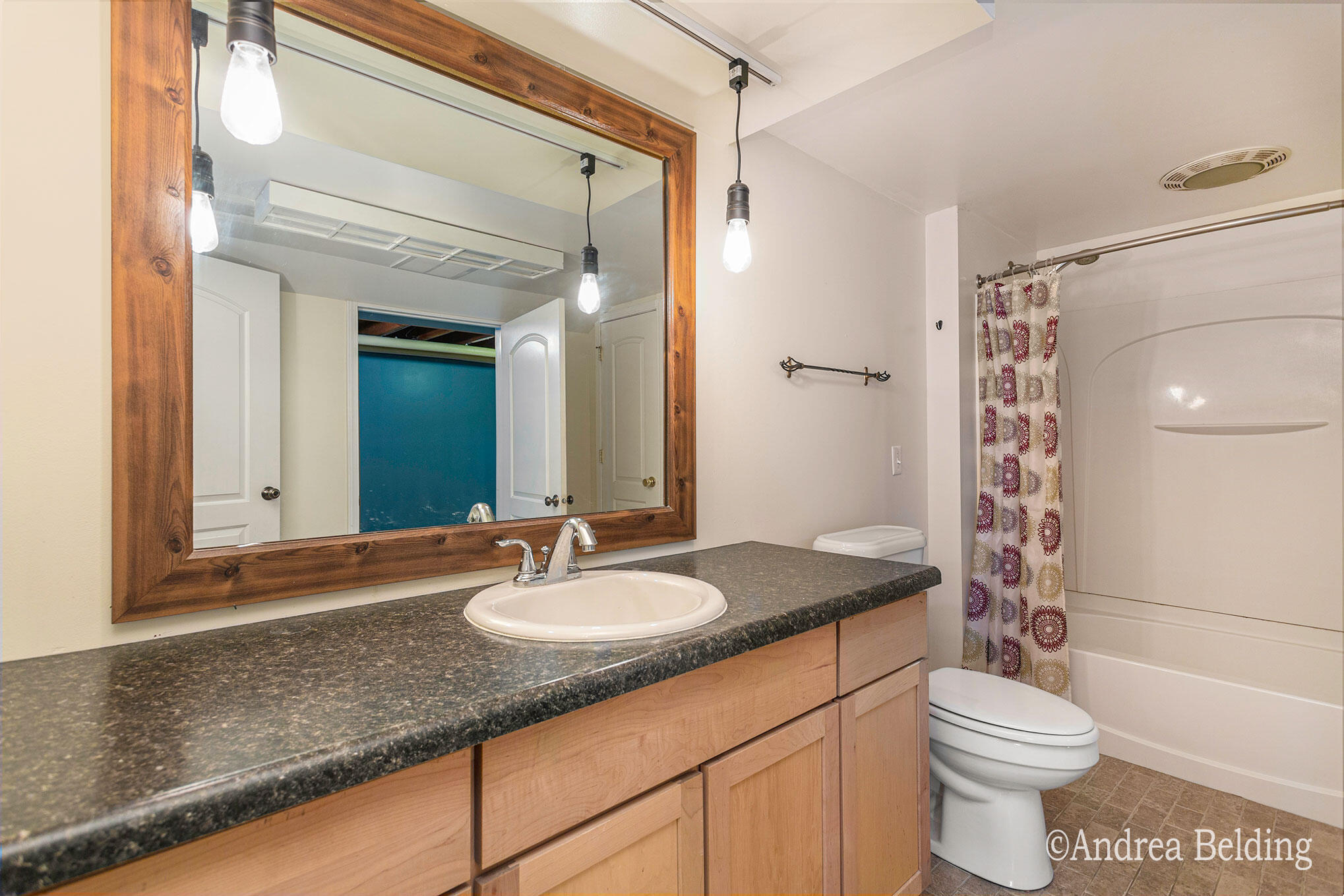 709 Harrison Street Belding, MI 48809 - Photo 21 of 24 Downstairs Bath