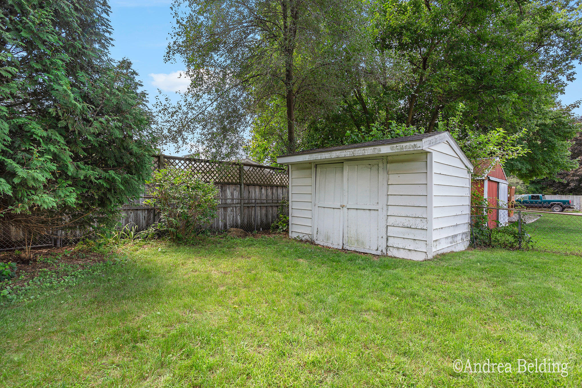 709 Harrison Street Belding, MI 48809 - Photo 23 of 24 Backyard