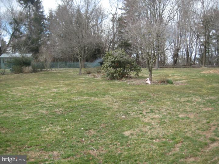 217 Beaver Road Southampton, PA 18966 - Photo 5 of 23 Back Yard