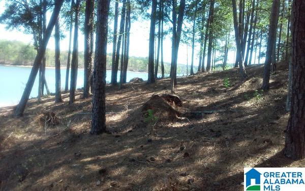 240 County Road, Unit 4 Wedowee, AL 36278 - Photo 8 of 10