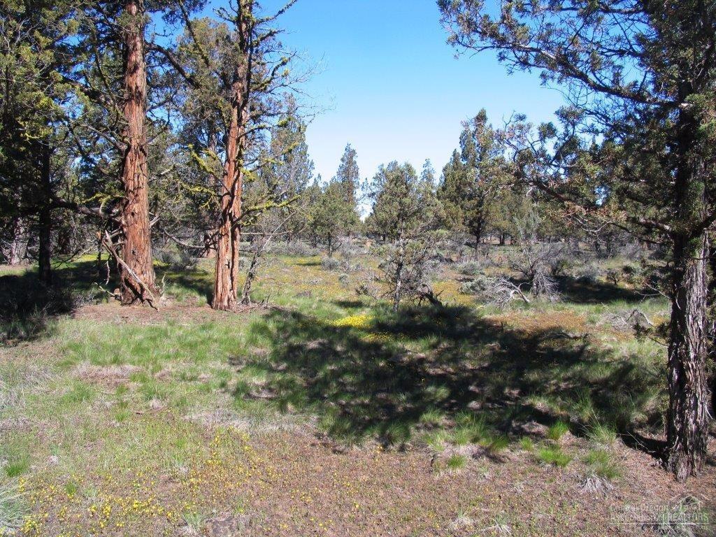 18320 Goldcoach Road Sisters, OR 97759 - Photo 18 of 25 Additional Photo