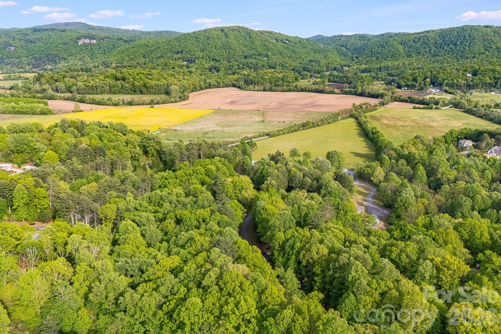 0 Newcastle Road, Unit 52 Brevard, NC 28712 - Photo 18 of 29 a view of lake view and mountain view
