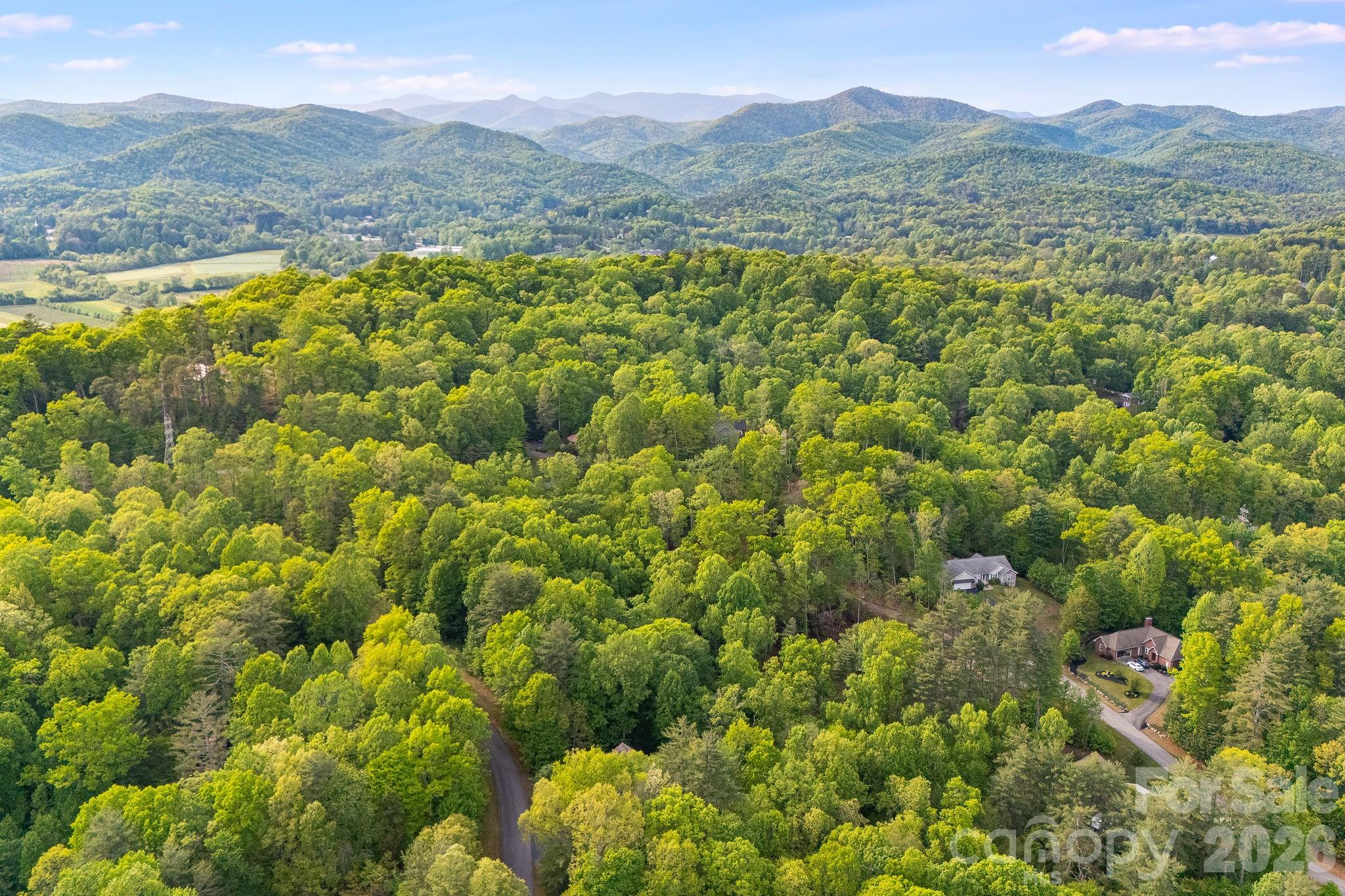 0 Newcastle Road, Unit 52 Brevard, NC 28712 - Photo 21 of 29 a view of a lush green hillside and houses