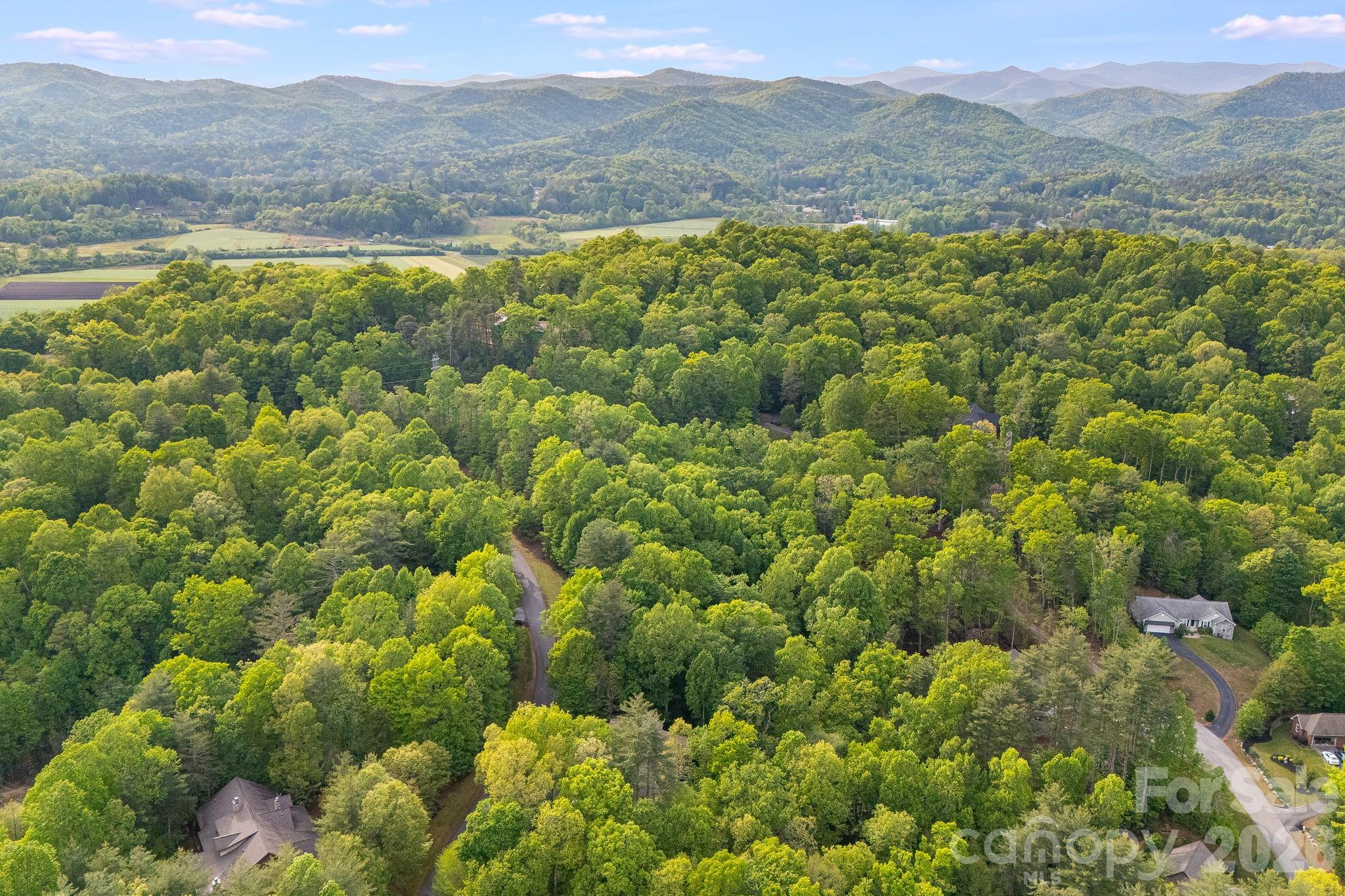 0 Newcastle Road, Unit 52 Brevard, NC 28712 - Photo 22 of 29 a view of lake and mountain