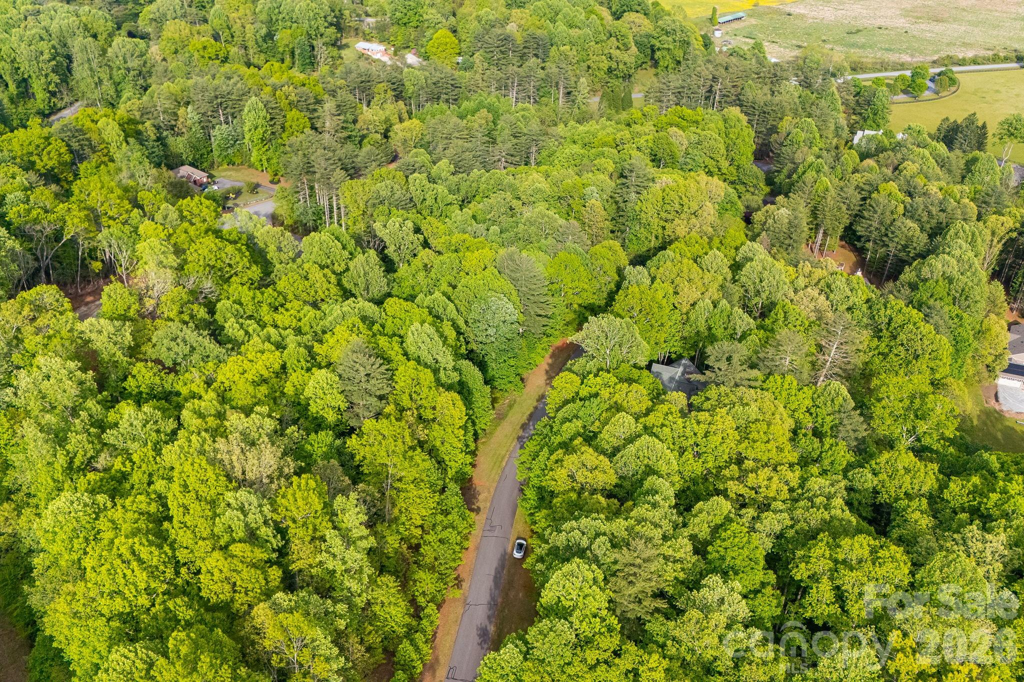 0 Newcastle Road, Unit 52 Brevard, NC 28712 - Photo 28 of 29 a view of a yard