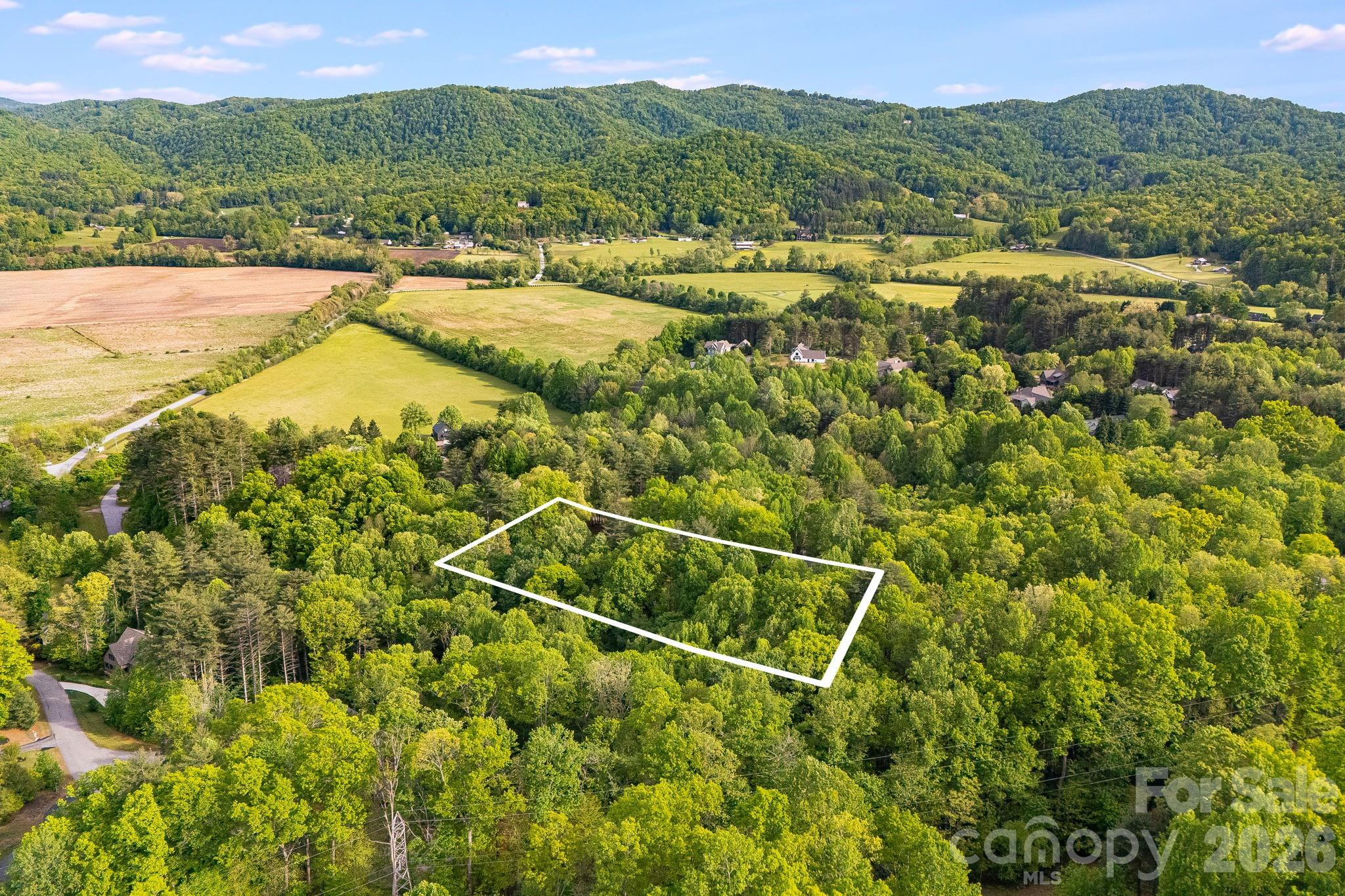 0 Newcastle Road, Unit 52 Brevard, NC 28712 - Photo 3 of 29 an aerial view of residential houses with outdoor space and trees