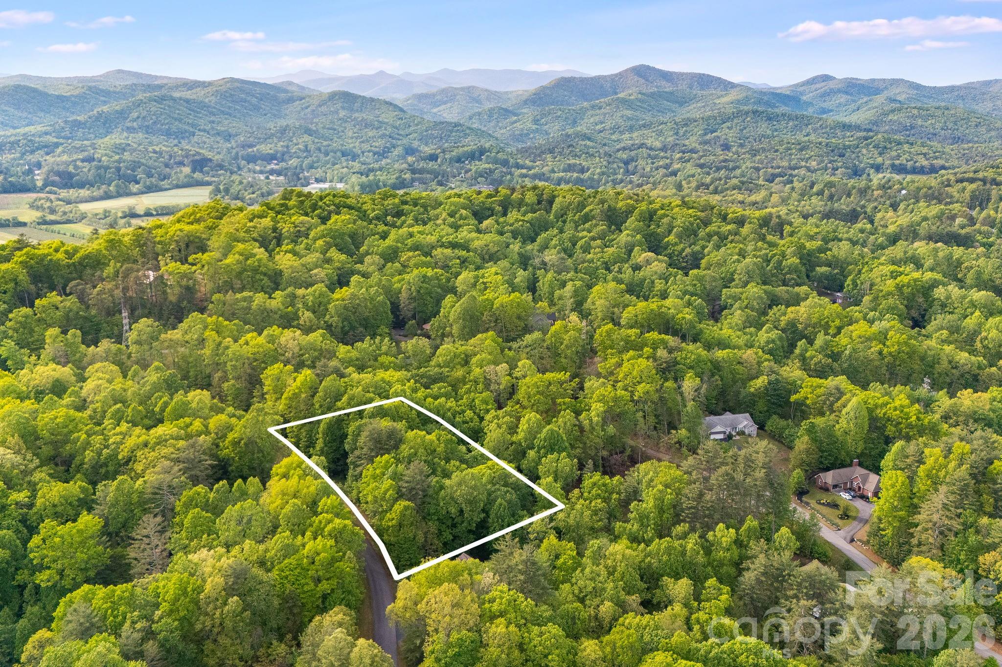 0 Newcastle Road, Unit 52 Brevard, NC 28712 - Photo 4 of 29 a view of a mountain with a forest