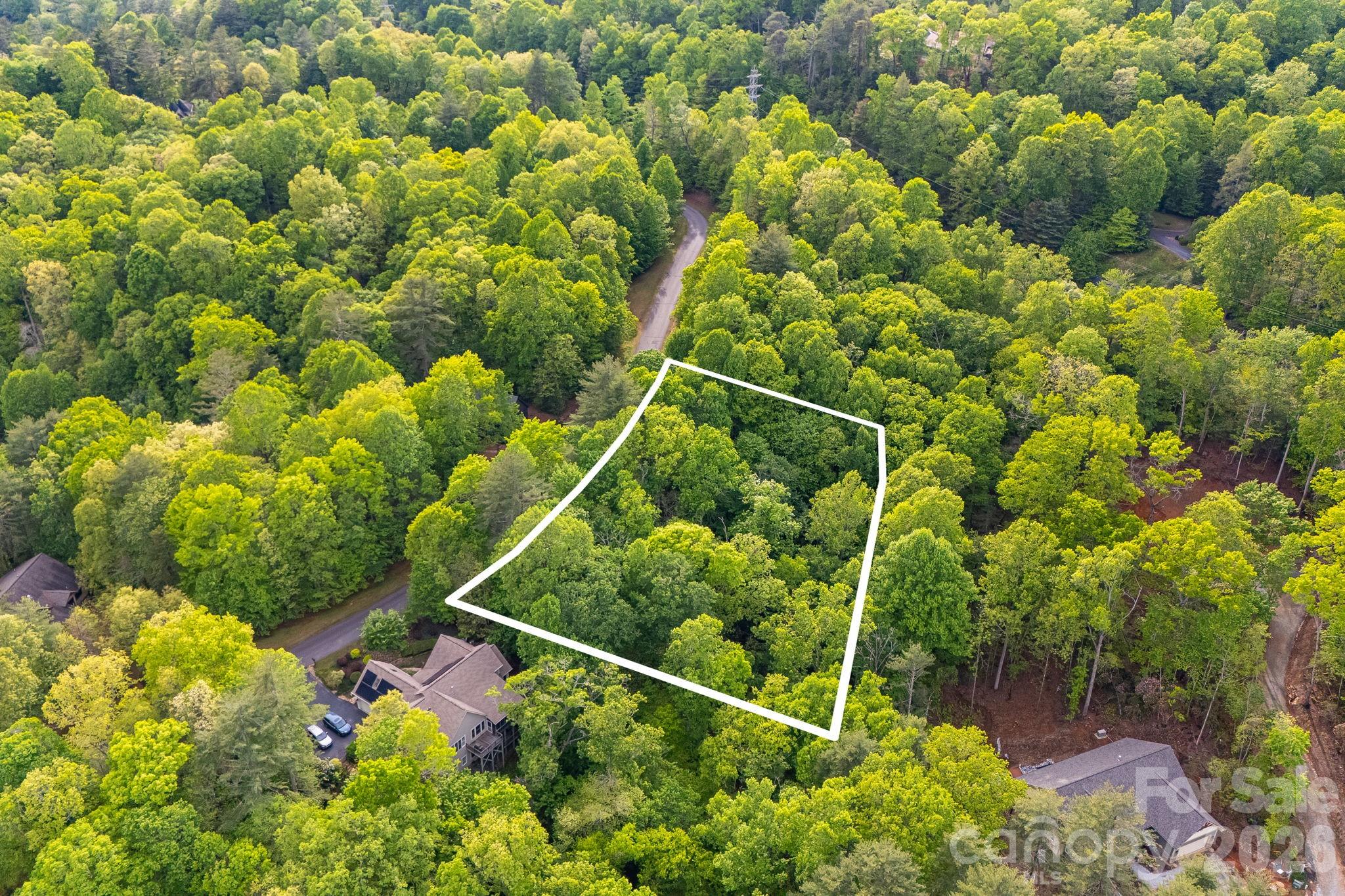 0 Newcastle Road, Unit 52 Brevard, NC 28712 - Photo 5 of 29 a view of a plant with a plant