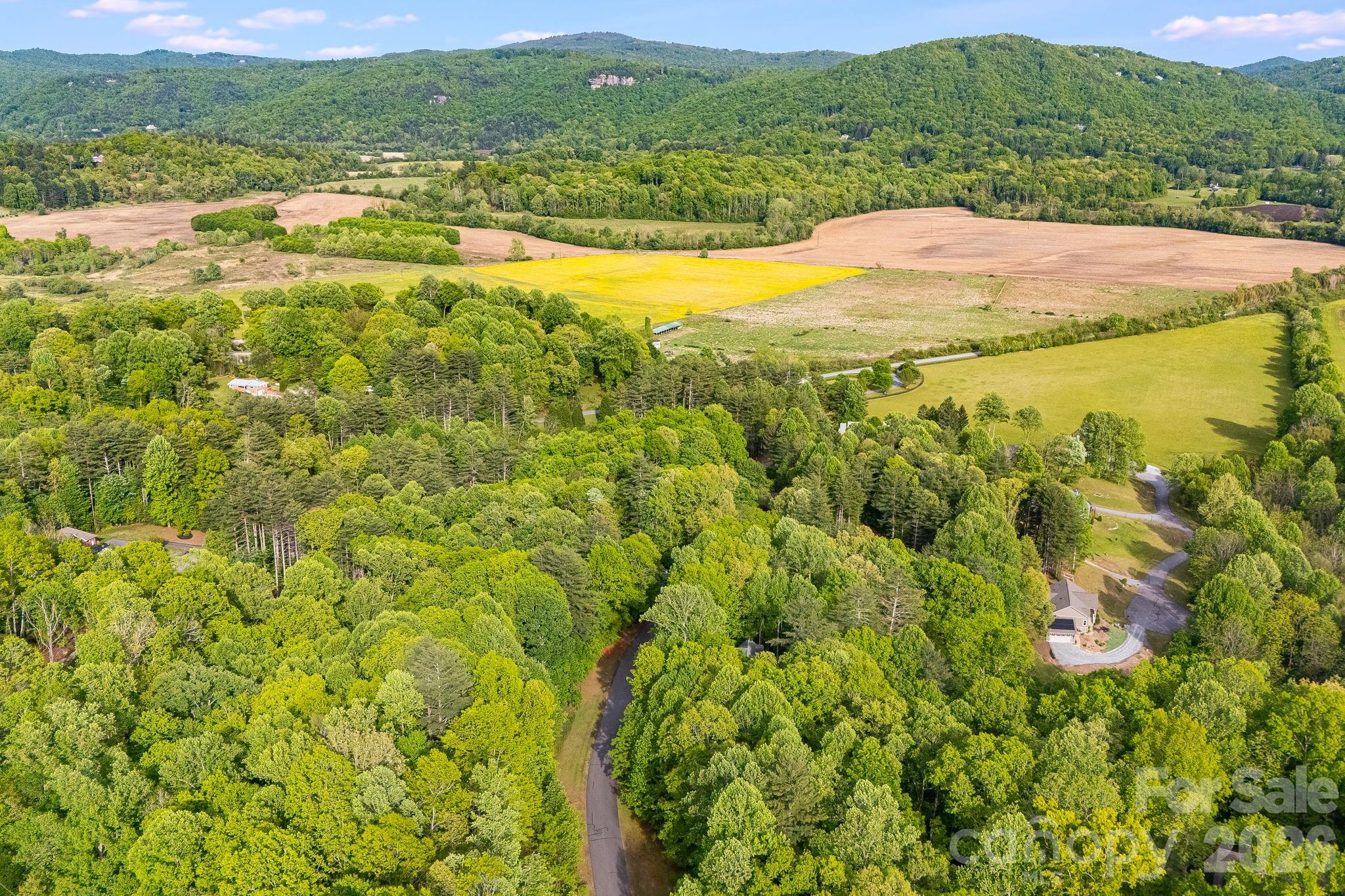 0 Newcastle Road, Unit 52 Brevard, NC 28712 - Photo 8 of 29 a view of an ocean
