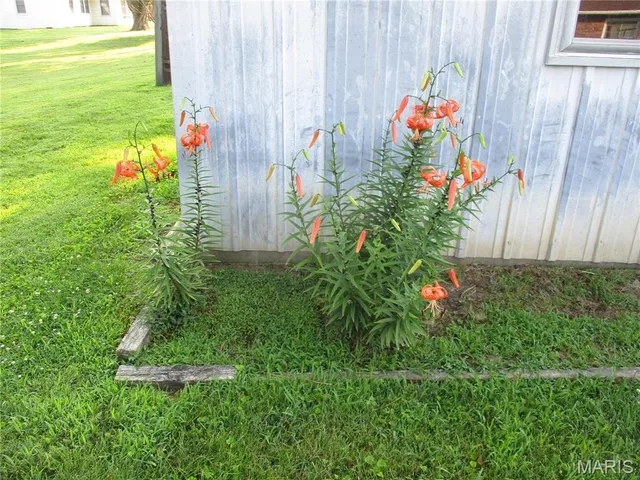 $134,000 | 103 Paulette Street, Chester, IL 62233