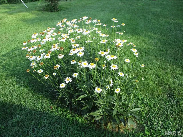 $134,000 | 103 Paulette Street, Chester, IL 62233