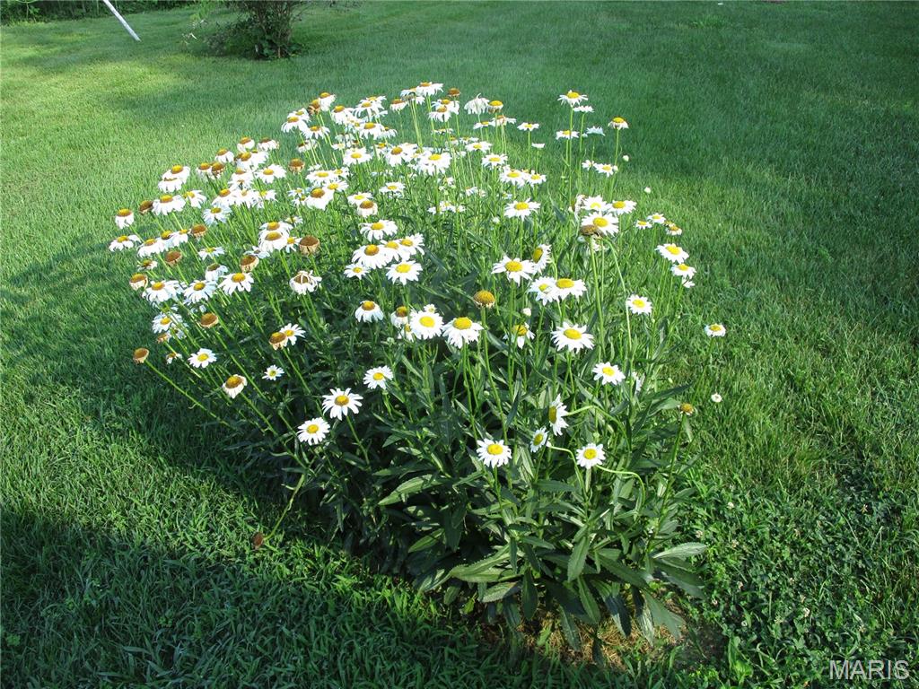 103 Paulette Street Chester, IL 62233 - Photo 15 of 41