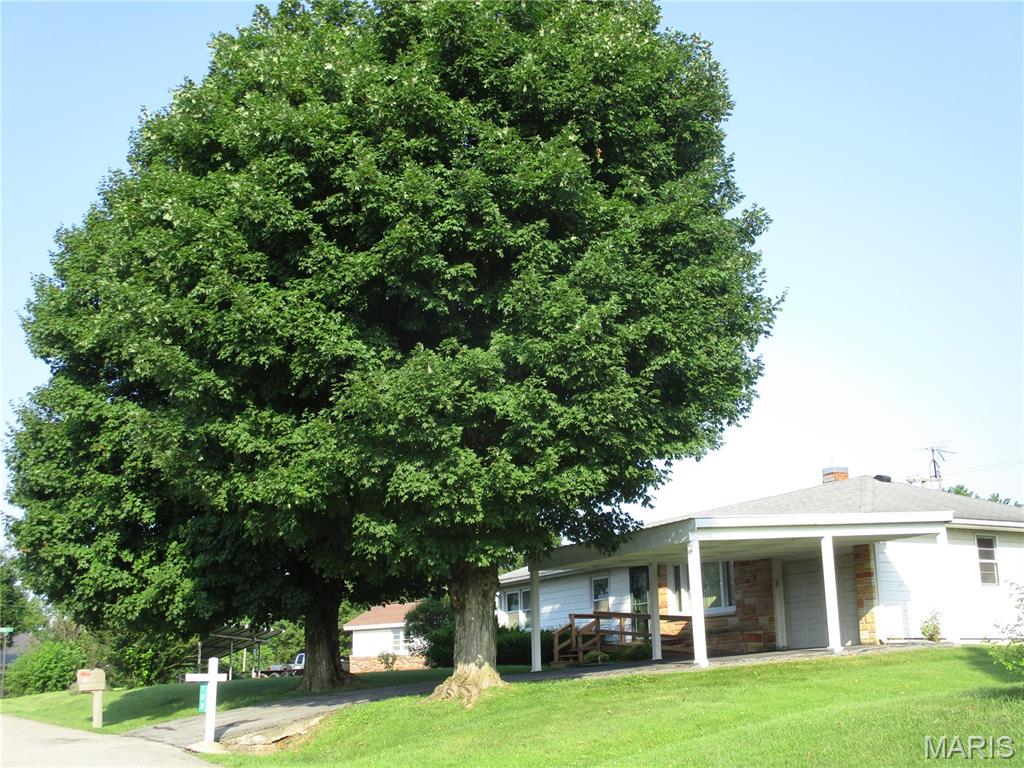 103 Paulette Street Chester, IL 62233 - Photo 8 of 41